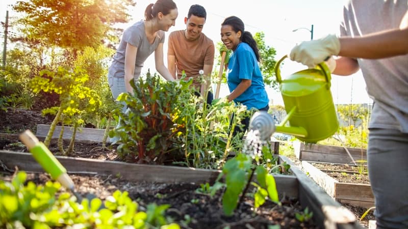 Volunteers working together in a community garden